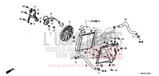 RADIATOR (R.) GL1800K de 2019
